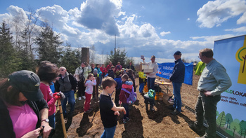 Bilder vom Medebacher Pflanzfest