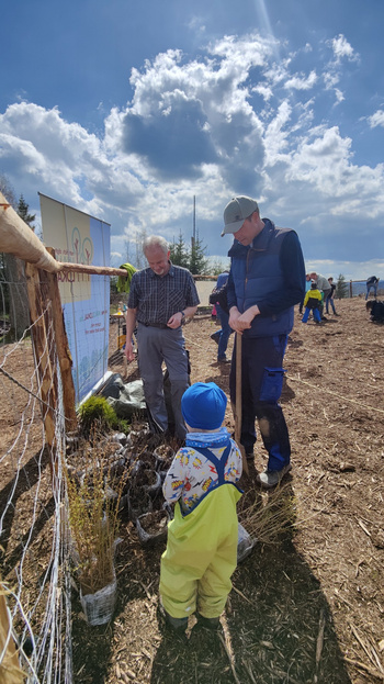 Bilder vom Medebacher Pflanzfest