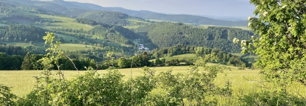 Bürgerwald Medebach